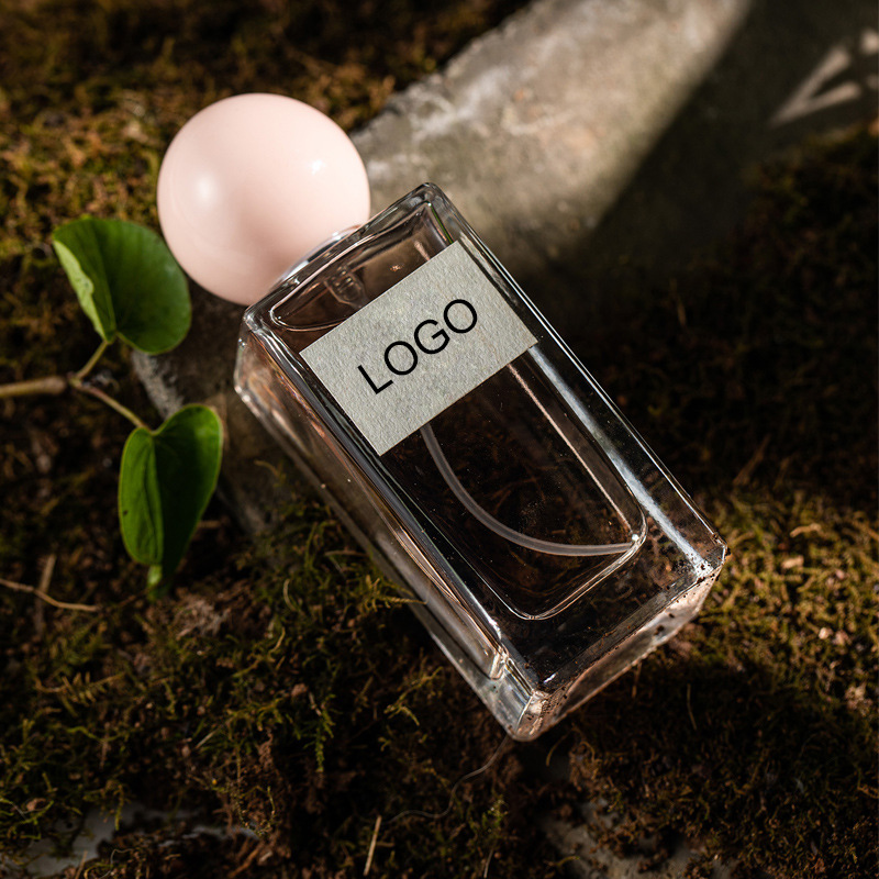 持続香水 50 ミリリットル新デザインスプレー女性のボディミスト香水スプレーフルーティーフローラルフレグランス 50 ミリリットル/100 ミリリットル